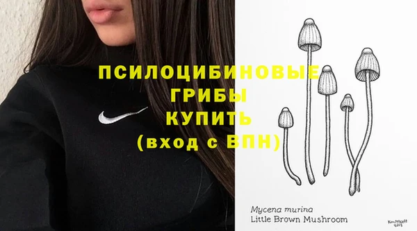 гидра Бородино